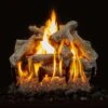 Grand Canyon Western Driftwood Gas Logs Only -Firepits Direct Store wd 18